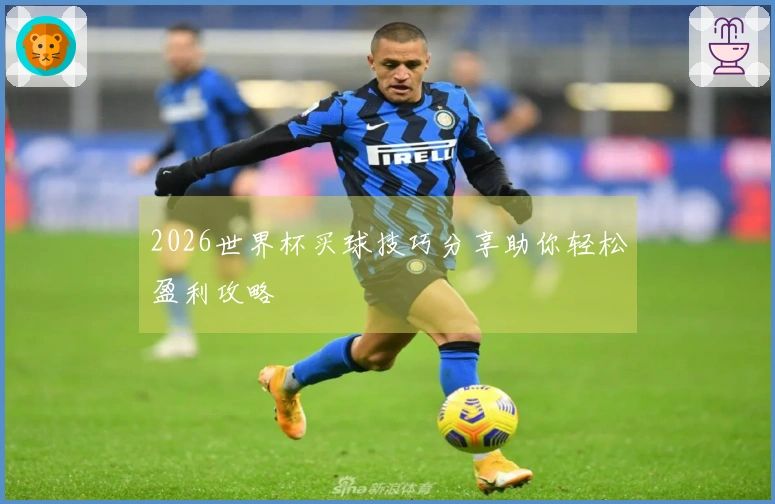 2026世界杯买球技巧分享助你轻松盈利攻略