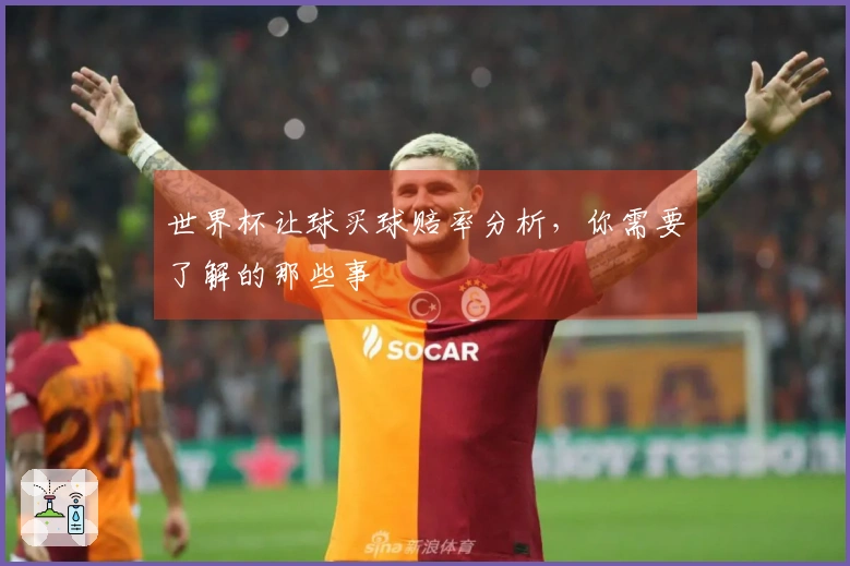 世界杯让球买球赔率分析，你需要了解的那些事