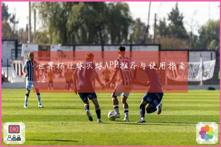 世界杯让球买球APP推荐与使用指南_2