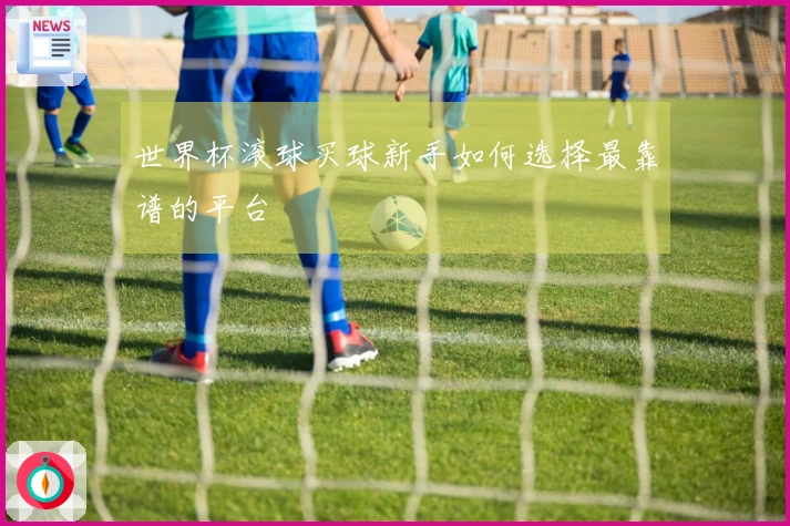 世界杯滚球买球新手如何选择最靠谱的平台