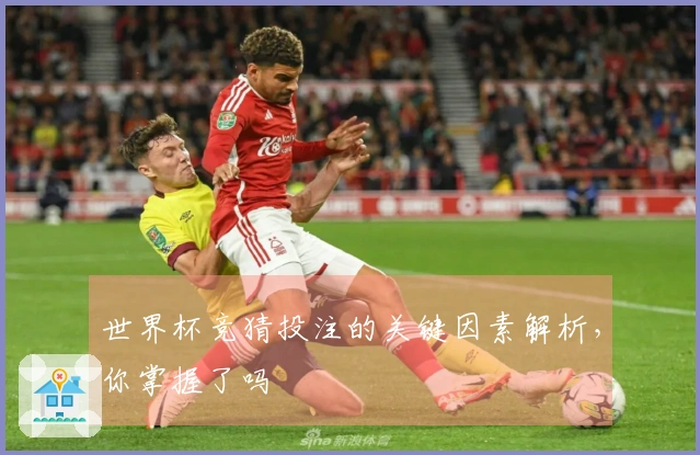 世界杯竞猜投注的关键因素解析，你掌握了吗