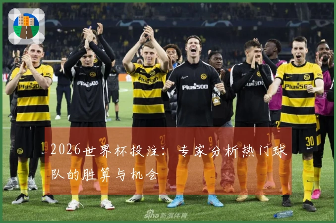 2026世界杯投注：专家分析热门球队的胜算与机会