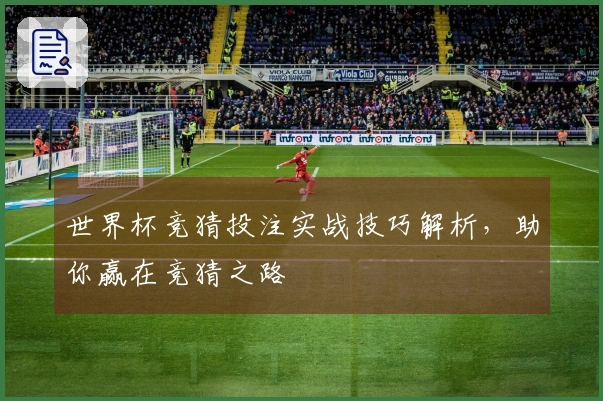 世界杯竞猜投注实战技巧解析，助你赢在竞猜之路