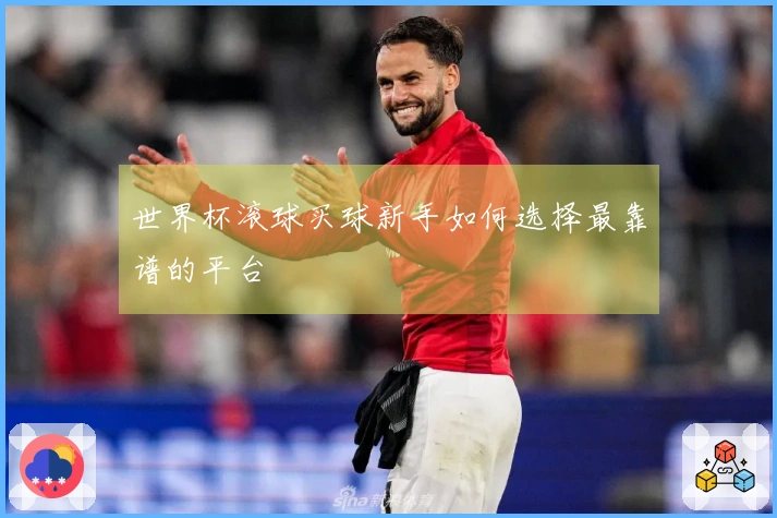 世界杯滚球买球新手如何选择最靠谱的平台