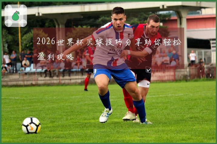 2026世界杯买球技巧分享助你轻松盈利攻略
